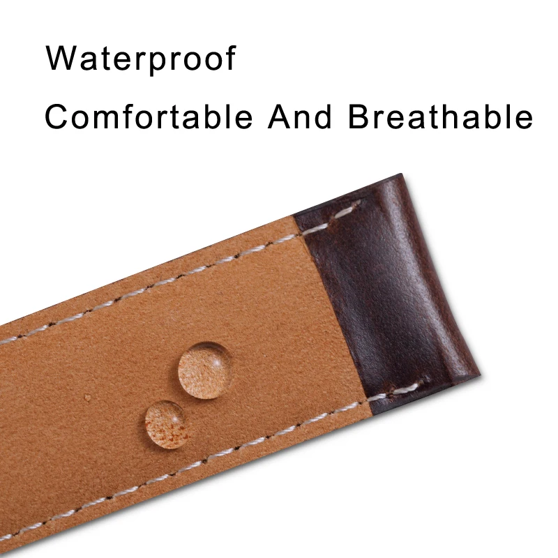 고품질 정품 가죽 시계 스트랩 브라운 20 19 18  - Daniel Wellington Watches & Jewelry Online Store 리뷰 및 가격